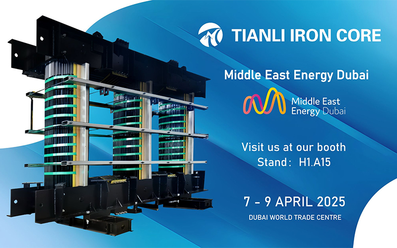 Taizhou Tianli Iron Core Manufacturing Co., Ltd.